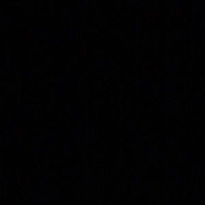 Meet your Posher, Raven